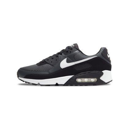 Nike Air Max 90 Shoes