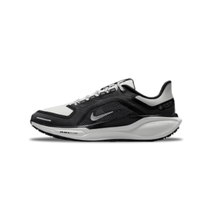 Nike Pegasus 41 Gore-Tex Shoes